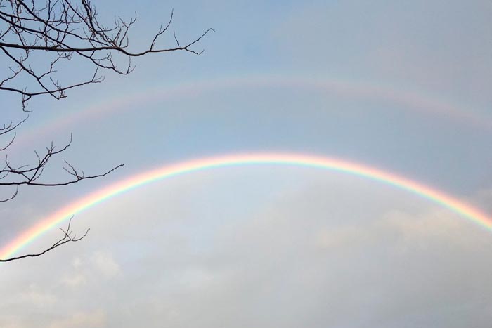 двойная радуга
