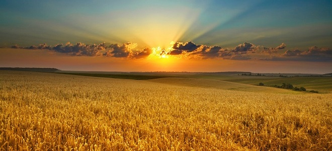 приметы на 14 сентября