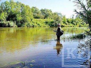Прогноз клёва в Казани