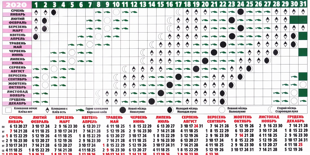 Прогноз клёва в Казани