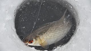 Кто в чем ходит на зимнюю рыбалку