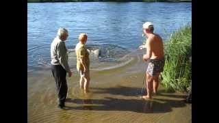 Прогноз клева рыбы в кукобое ярославской области