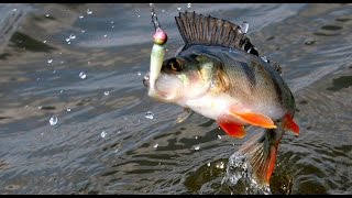 Тейл спиннер из балансира своими руками