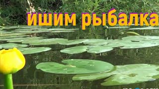 Рыбалка ишим фишинг 72
