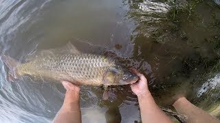 Что надо для ловли сазана