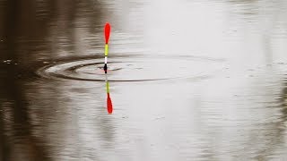 Ловля карпа в апреле на дону