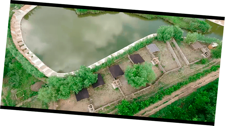 Платные рыбалка области.