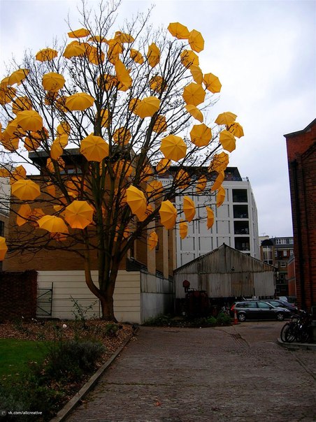 Дерево с осенним настроением