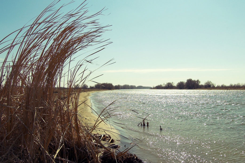 Рыбалка в Астрахани в марте