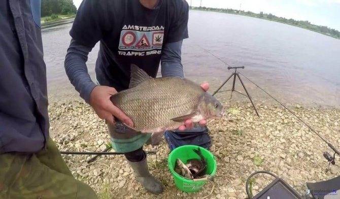 Рыбалочка на могучей реке днепр с берега и лодки фото видео