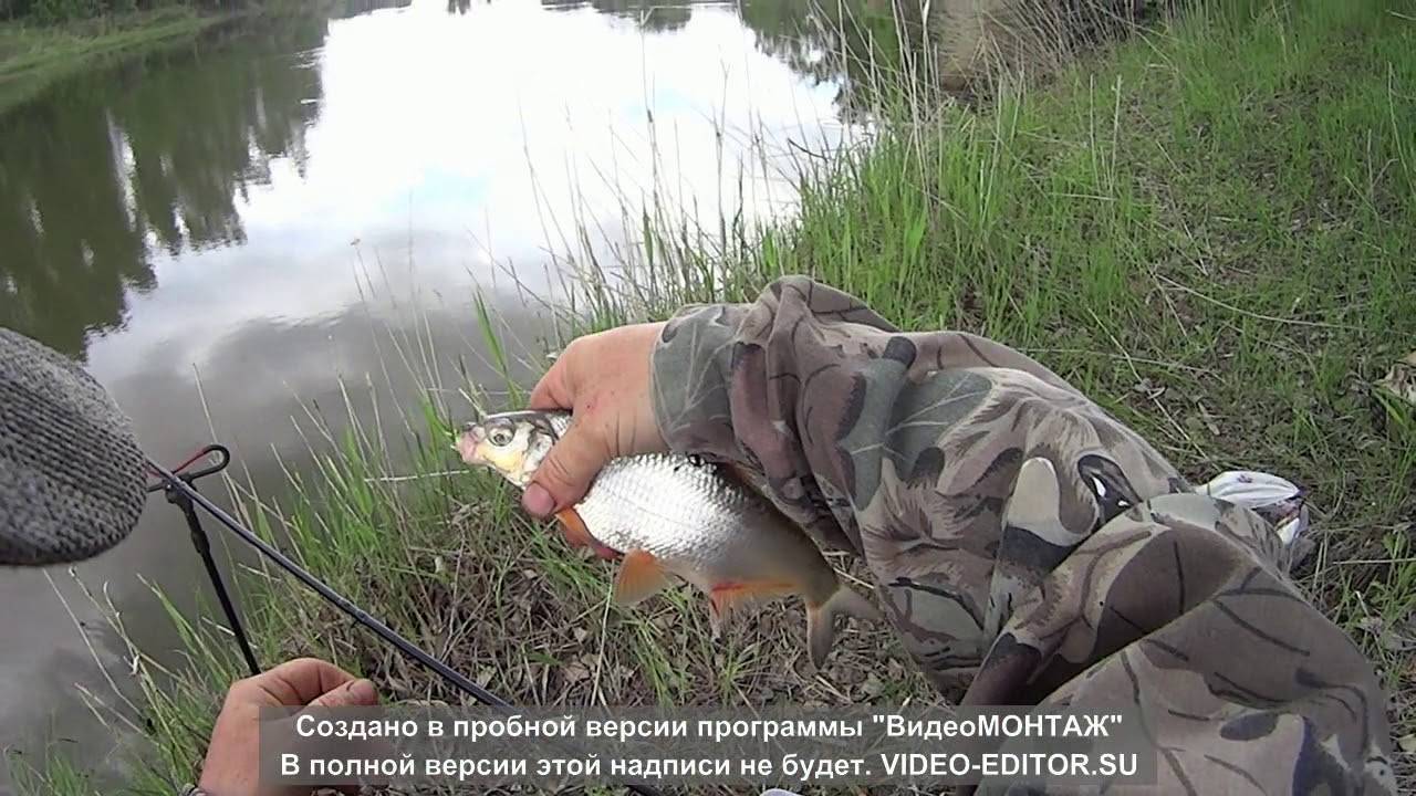 Рыбалка на днепре - ловля на фидер в городе с известным рыбаком