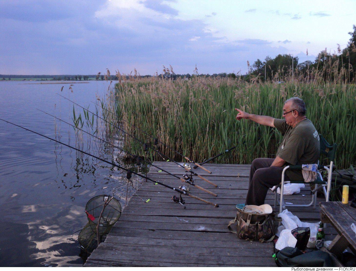 Городская рыбалка на днепре — ловля на фидер &raquo; тихий омут