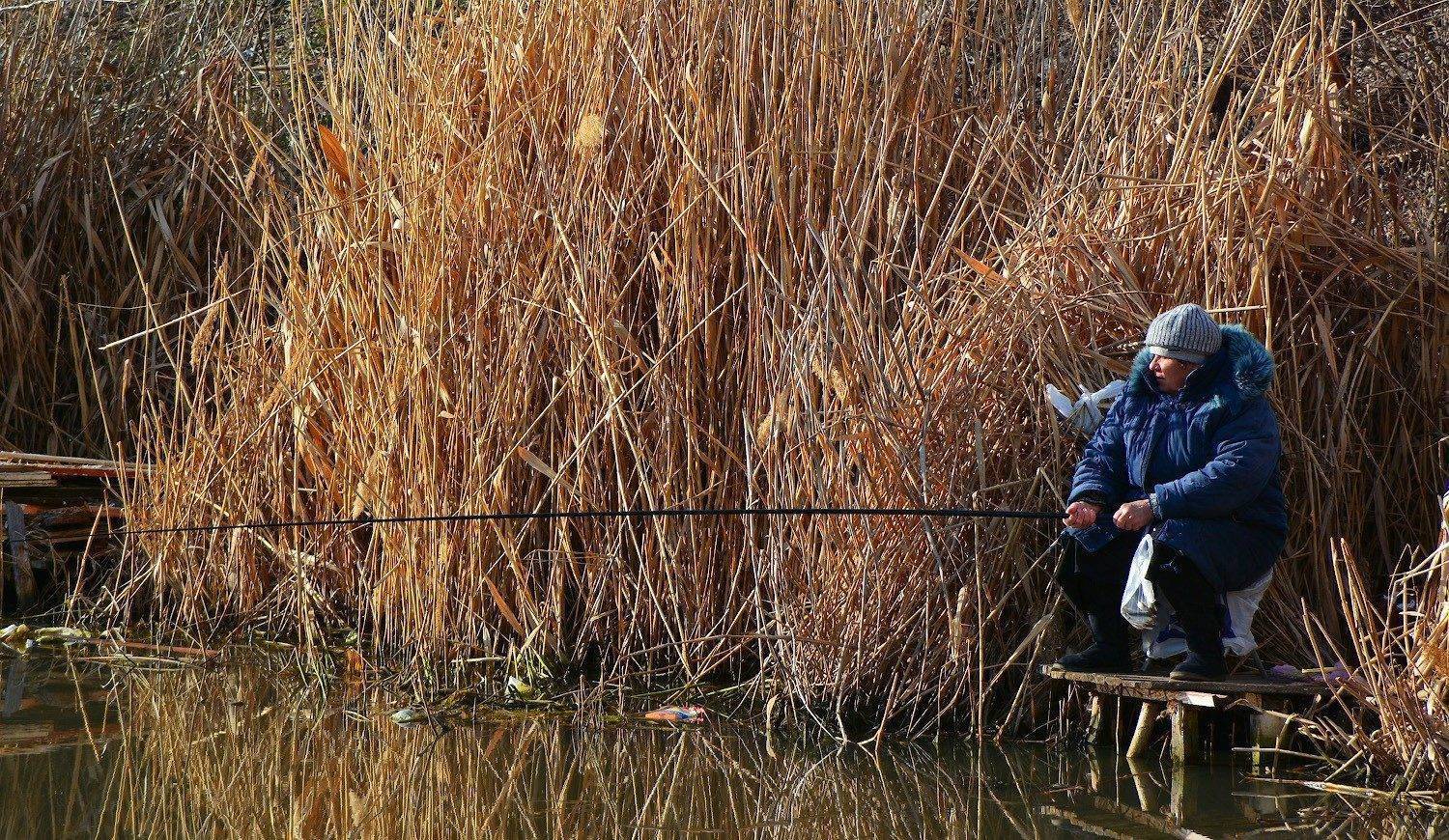 Городская рыбалка на днепре — ловля на фидер &raquo; тихий омут