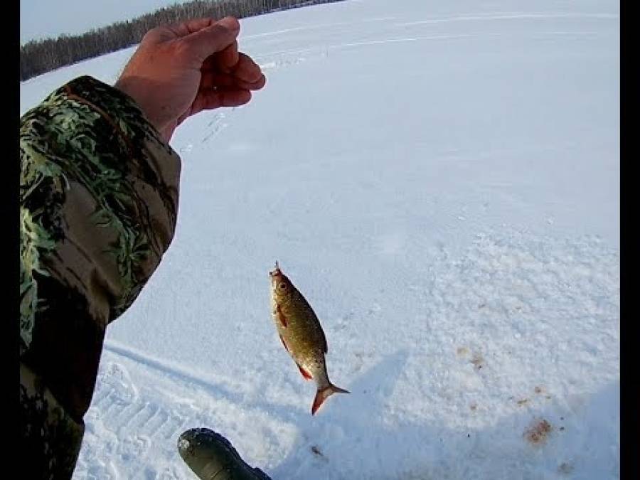 Как ловить рыбу в глухозимье — места, снасти и приманки