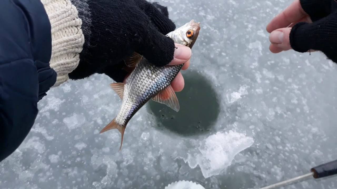 Рыбалка в глухозимье. особенности ловли и поиска рыбы