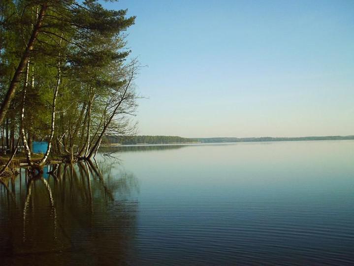 Рыбалка в Калининградской области сегодня