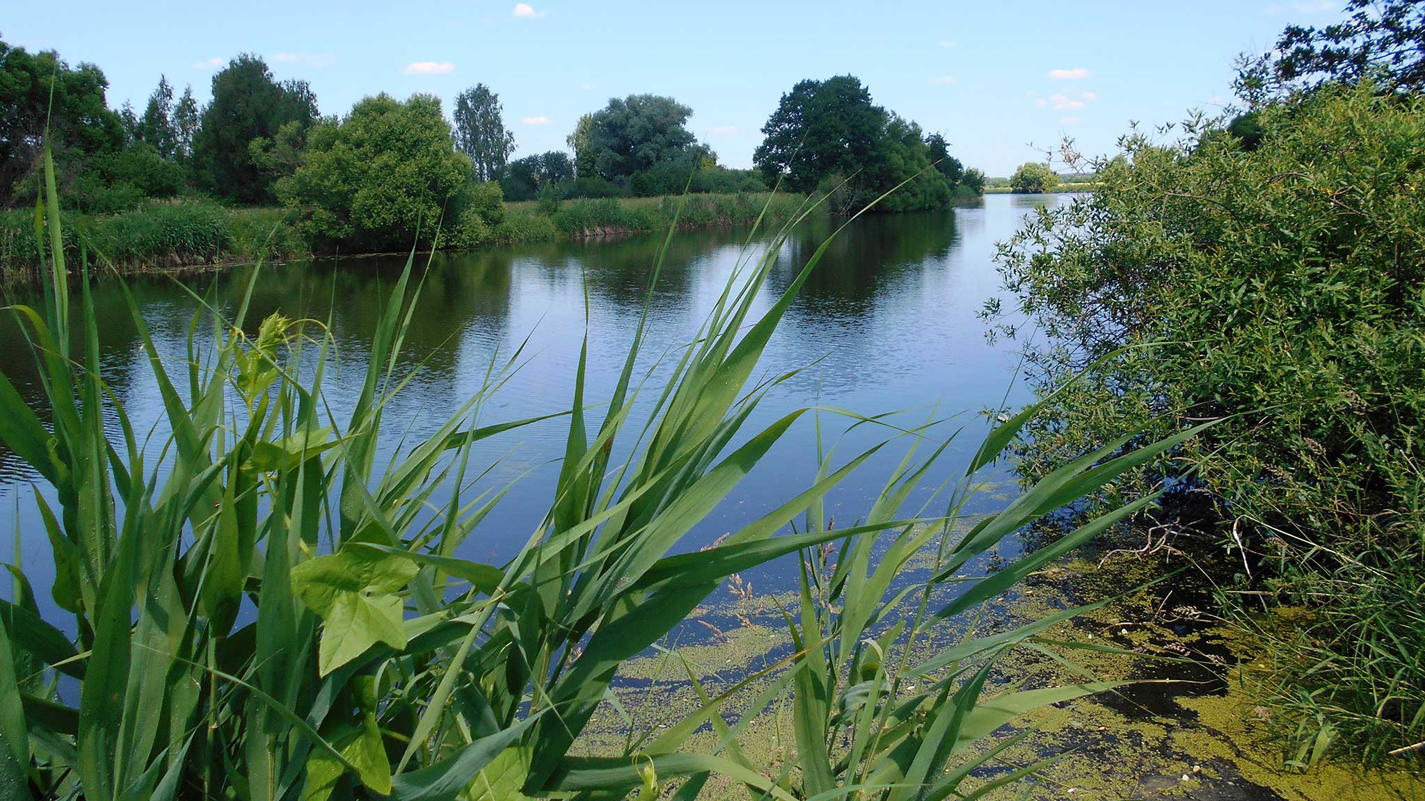 Рыбалка московская область. Подбор лучших мест.