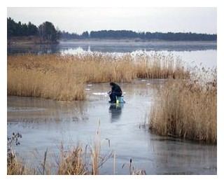 Рыбалка по первому льду