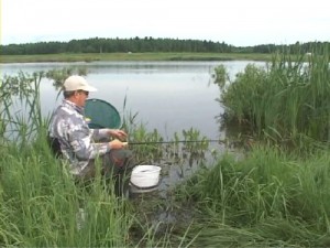 Рыбалка: погода и караси