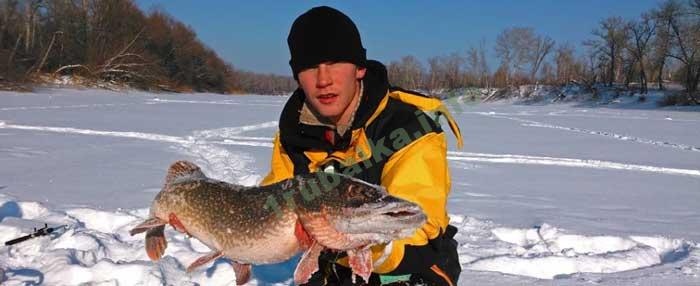 Ловля щуки на ратлины зимой