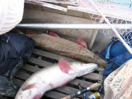 База отдыха клевое место рыбалка в октябре в Новосибирской области.