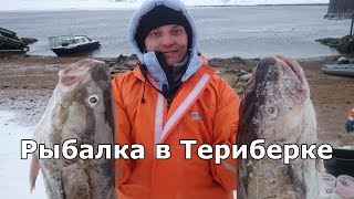 видео рыбалка в Териберке
