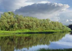 Волгоградская область