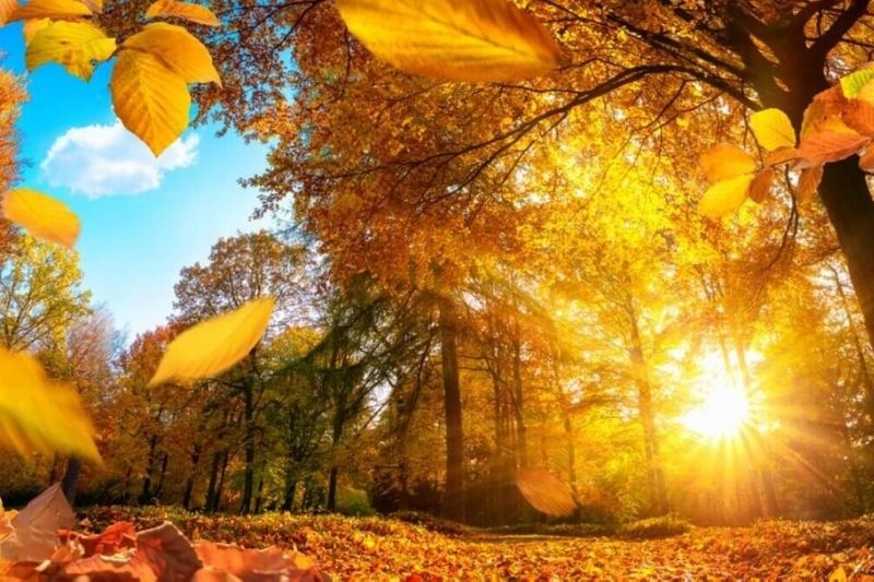 Самые точные народные приметы на сегодня о погоде