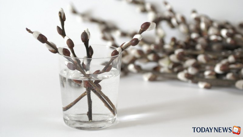 Теплый Алексей: приметы и традиции праздника 