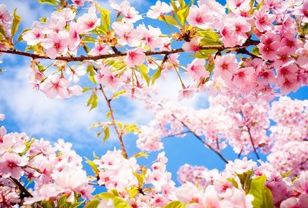 Свежие новости: До +17 в Украине. Прогноз погоды на весь март и весенние народные приметы