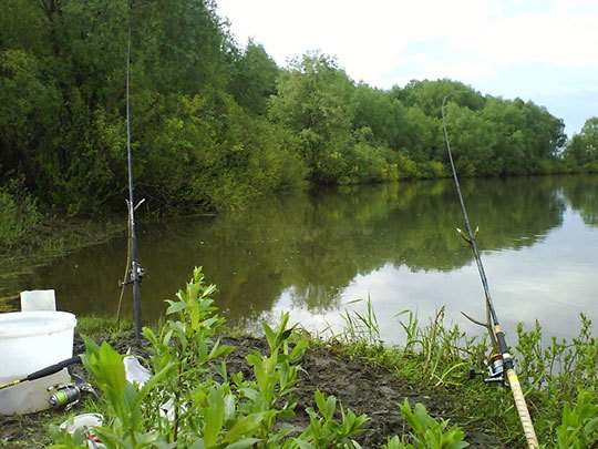 Воздействие давления на рыбу в разные сезоны