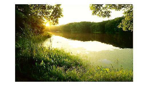 Рыба не ловится при изменениях атмосферного давления фотография