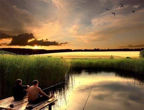 Влияние погоды на клев рыбы