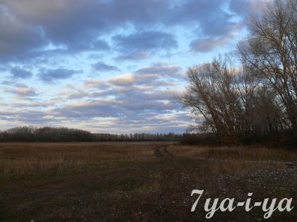 poq klevP1160943_result