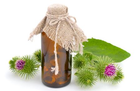 Настойка лопуха репейника