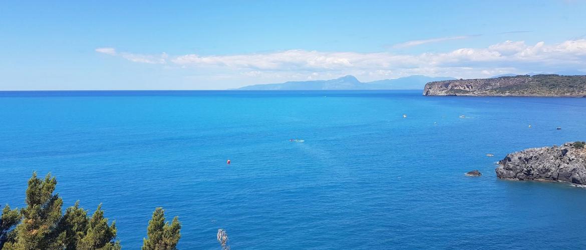 смена климата при овуляции