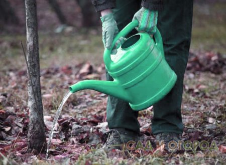 Без воды ни туды и ни сюды!