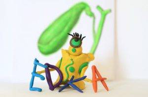 Желчный пузырь функции в организме