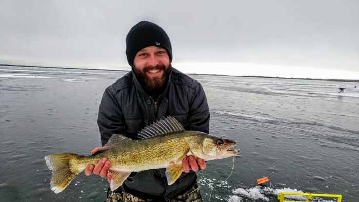 Ратлины на судака