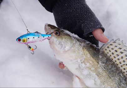 Ловля судака на ратлины зимой видео