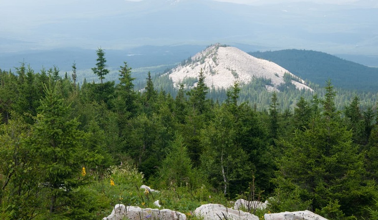 Голая сопка