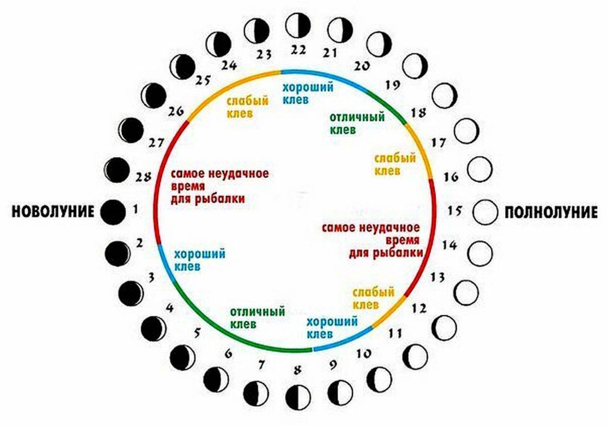Рыболовный прогноз клёва, воздействия на клёв рыбы погоды, атмосферного давления, геомагнитных бурь и фаз луны