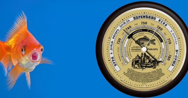 Атмосферное давление для рыбалки: влияние изменений погоды на клев