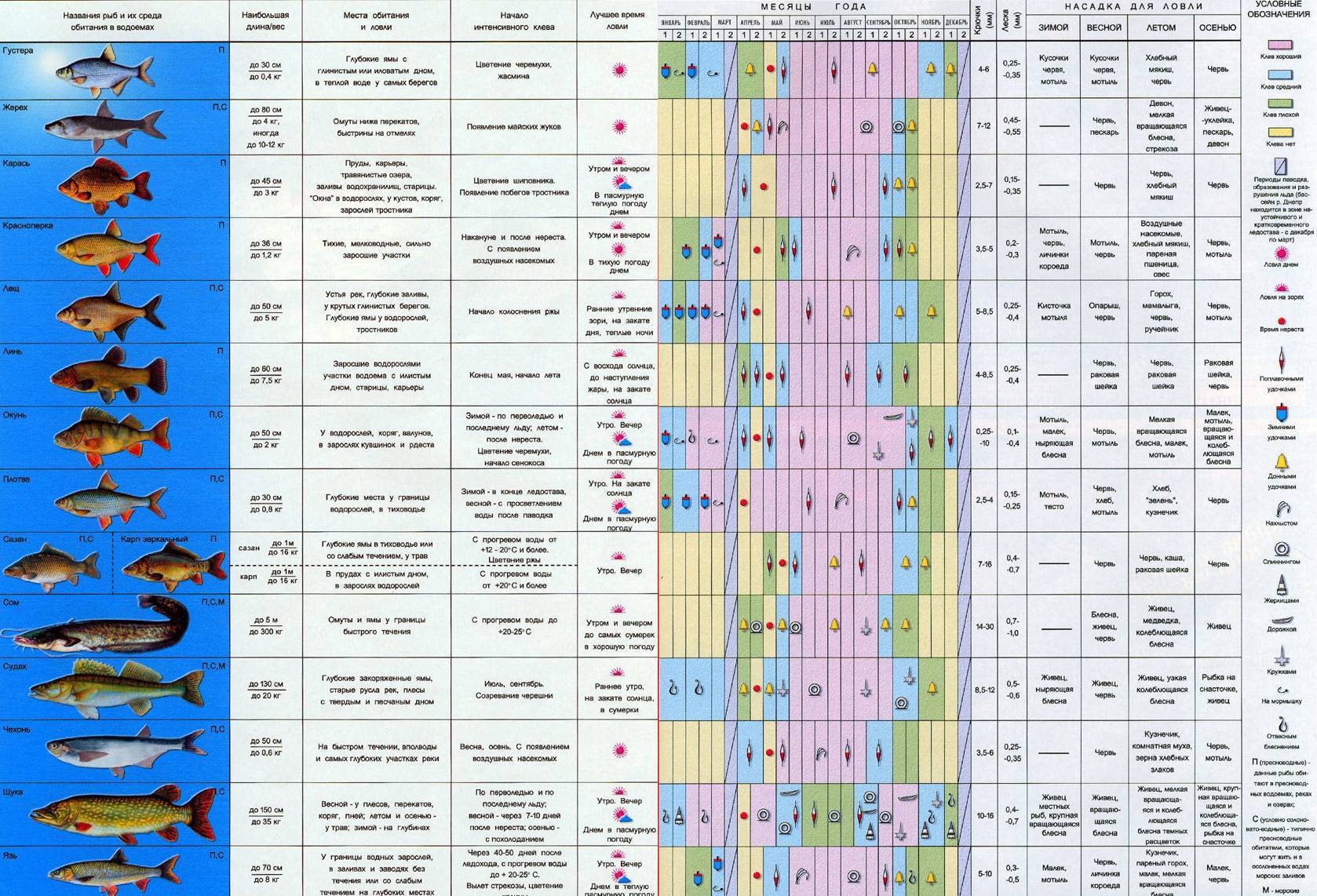 Рыболовный прогноз клёва по погодным условиям, атмосферному давлению и фазам луны
