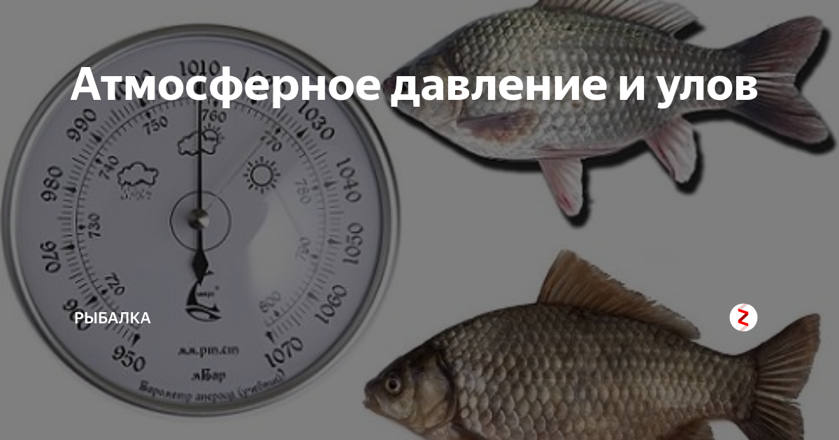 Влияние атмосферного давления на клев