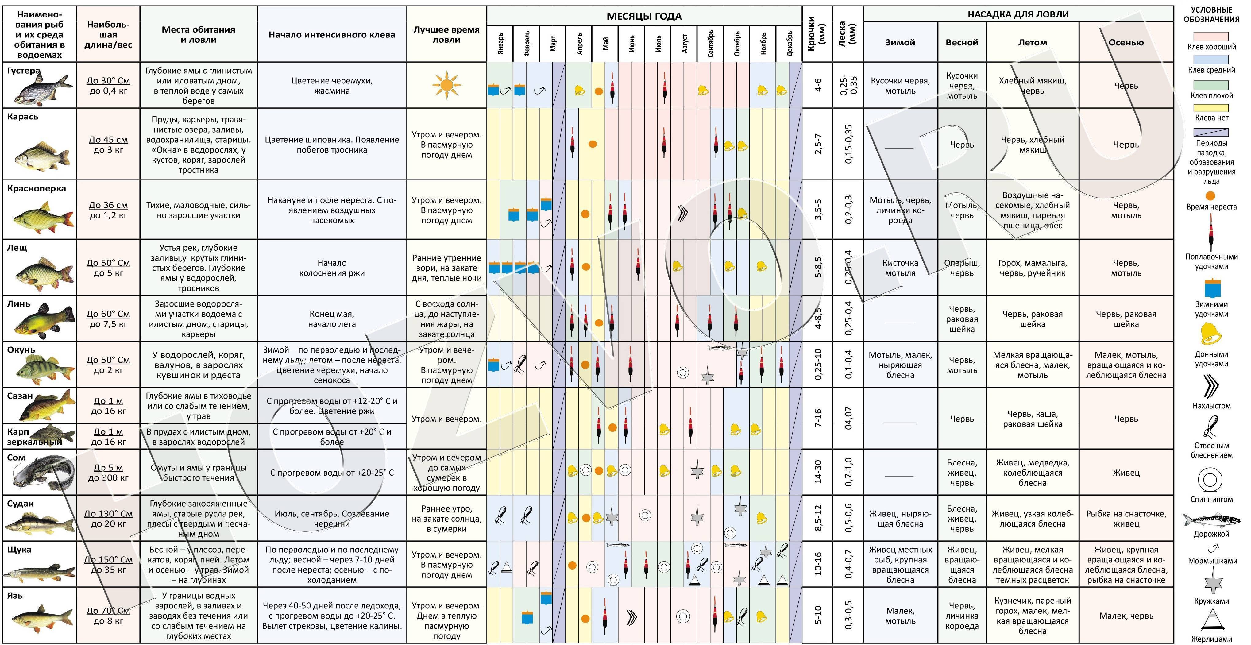 Оптимальное давление при ловле щуки