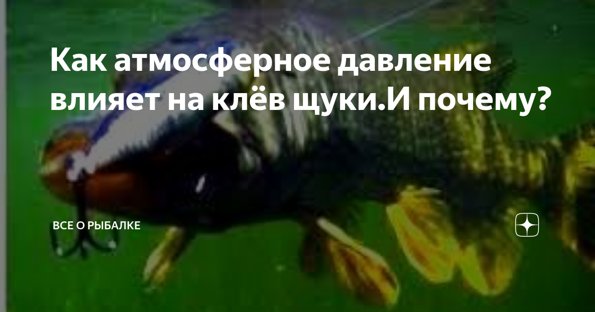 Оптимальное давление для клева карася