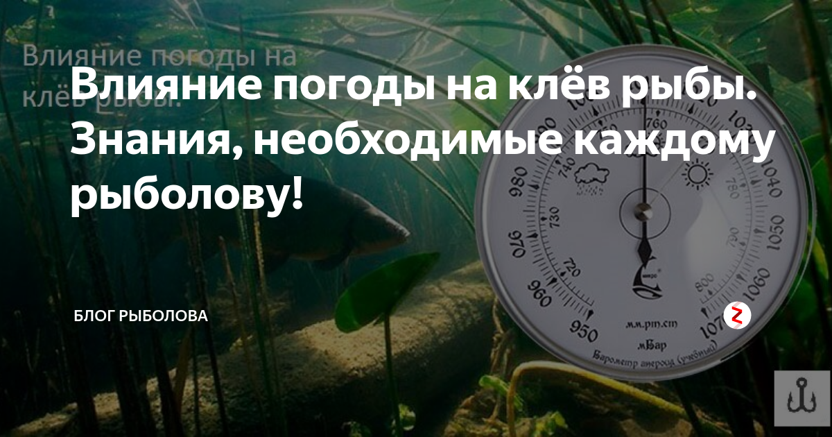 Давление для зимней рыбалки