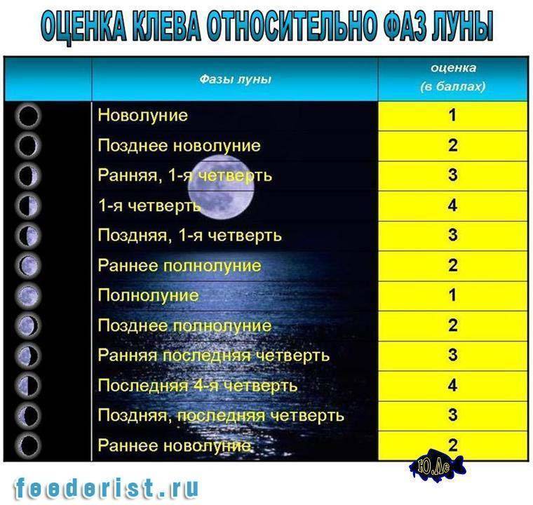 Атмосферное давление для рыбалки - какое давление считается нормальным, оптимальным и лучшим?