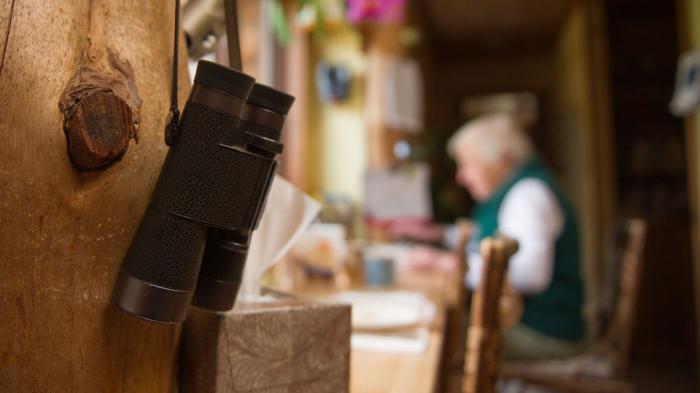 что такое фенология